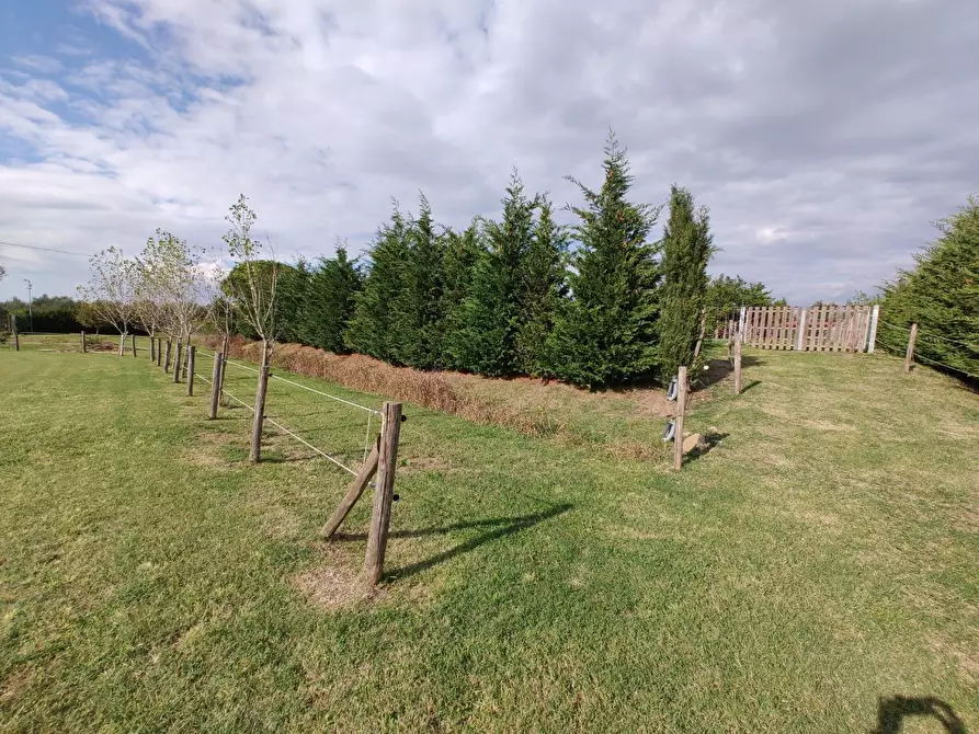 Immagine 54 di Casa indipendente in vendita  a Fauglia