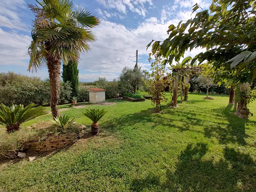 Immagine 2 di Casa indipendente in vendita  a Fauglia