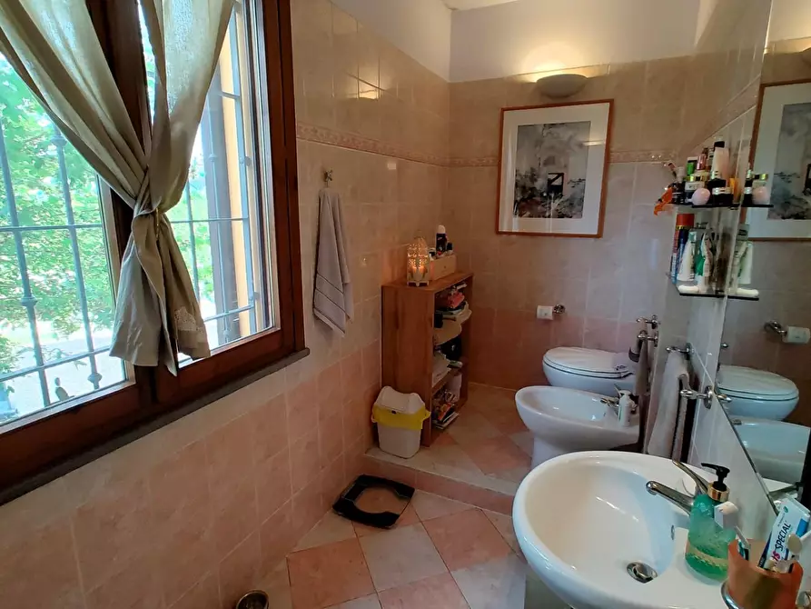 Immagine 17 di Casa indipendente in vendita  a Fauglia