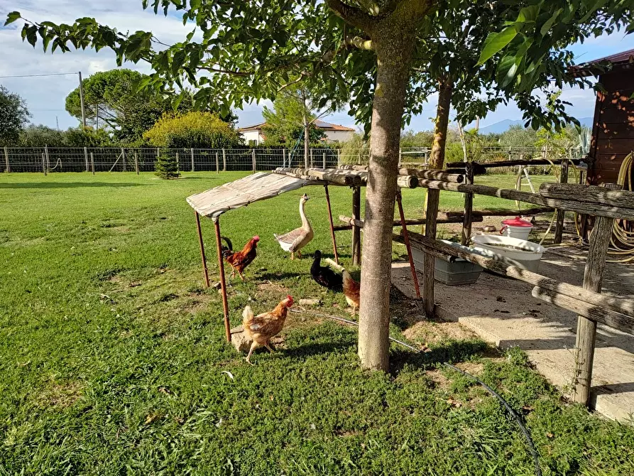 Immagine 45 di Casa indipendente in vendita  a Fauglia