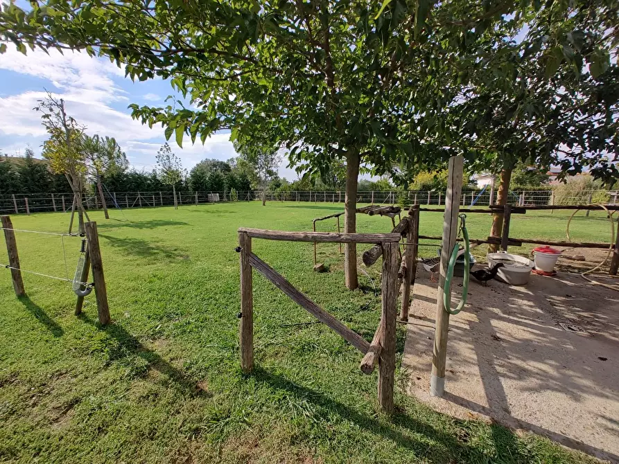 Immagine 47 di Casa indipendente in vendita  a Fauglia