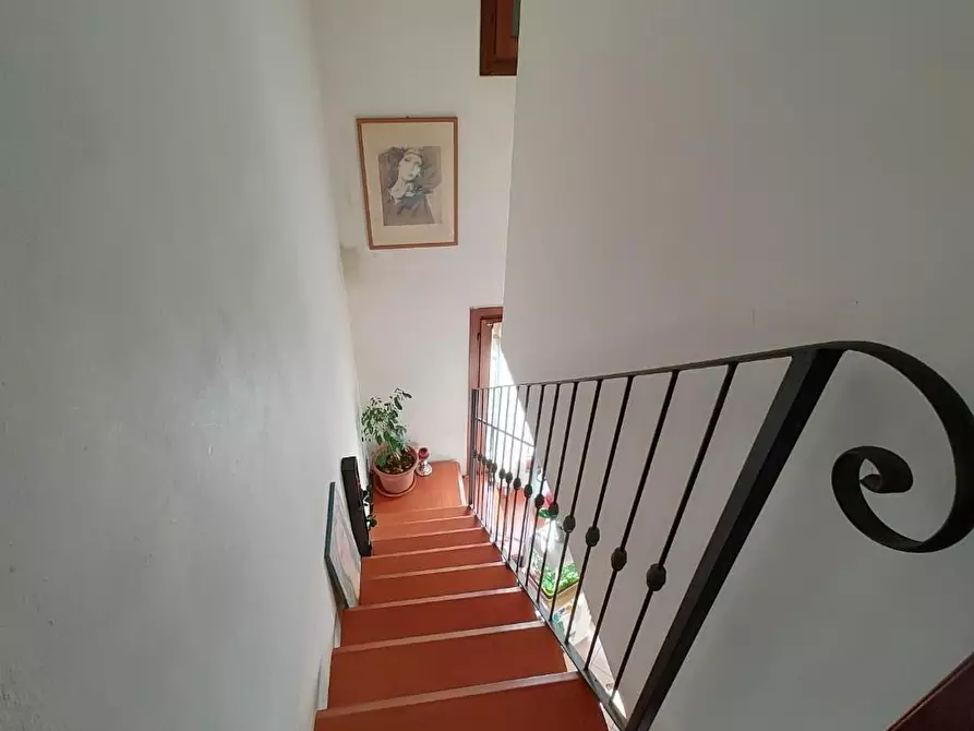 Immagine 35 di Casa indipendente in vendita  a Fauglia