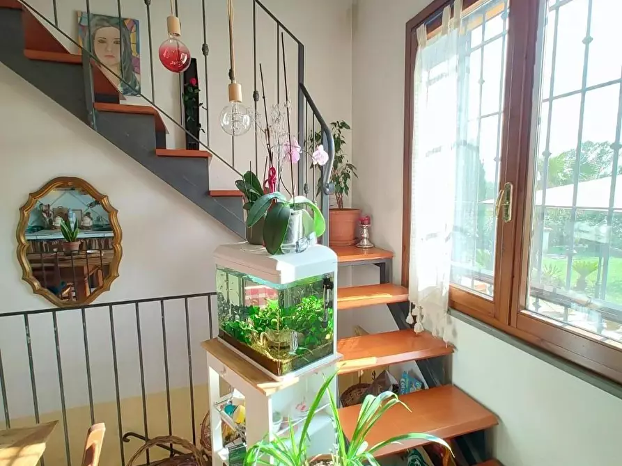 Immagine 15 di Casa indipendente in vendita  a Fauglia