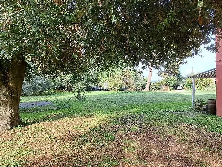 Immagine 48 di Casa indipendente in vendita  a San Giuliano Terme