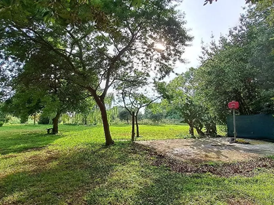 Immagine 49 di Casa indipendente in vendita  a San Giuliano Terme