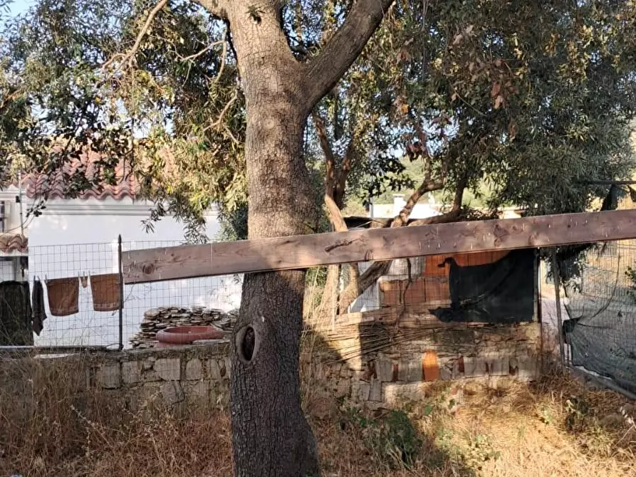 Immagine 55 di Rustico / casale in vendita  a Loiri Porto San Paolo