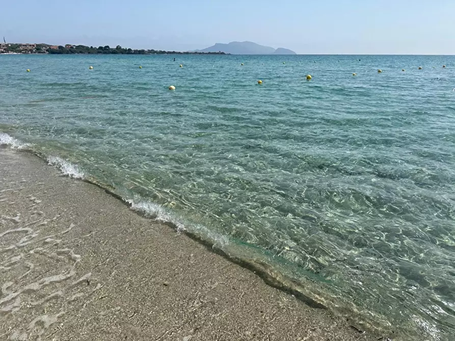 Immagine 17 di Rustico / casale in vendita  a Loiri Porto San Paolo