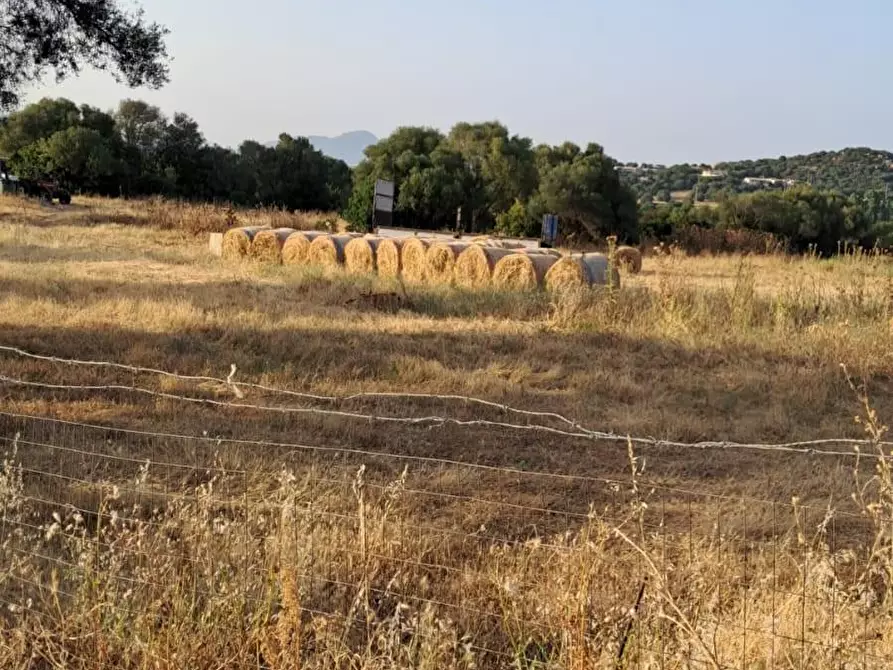 Immagine 46 di Rustico / casale in vendita  a Loiri Porto San Paolo