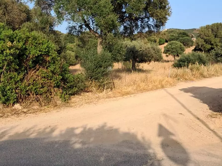 Immagine 48 di Rustico / casale in vendita  a Loiri Porto San Paolo