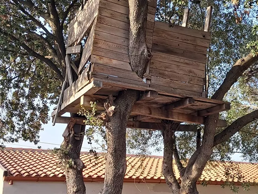 Immagine 75 di Rustico / casale in vendita  a Loiri Porto San Paolo