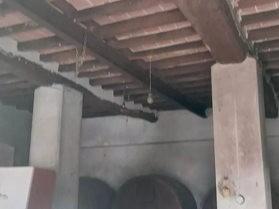 Immagine 4 di Casa semindipendente in vendita  a Carrara