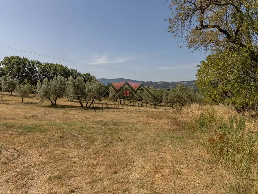 Immagine 22 di Casa colonica in vendita  a Pomarance