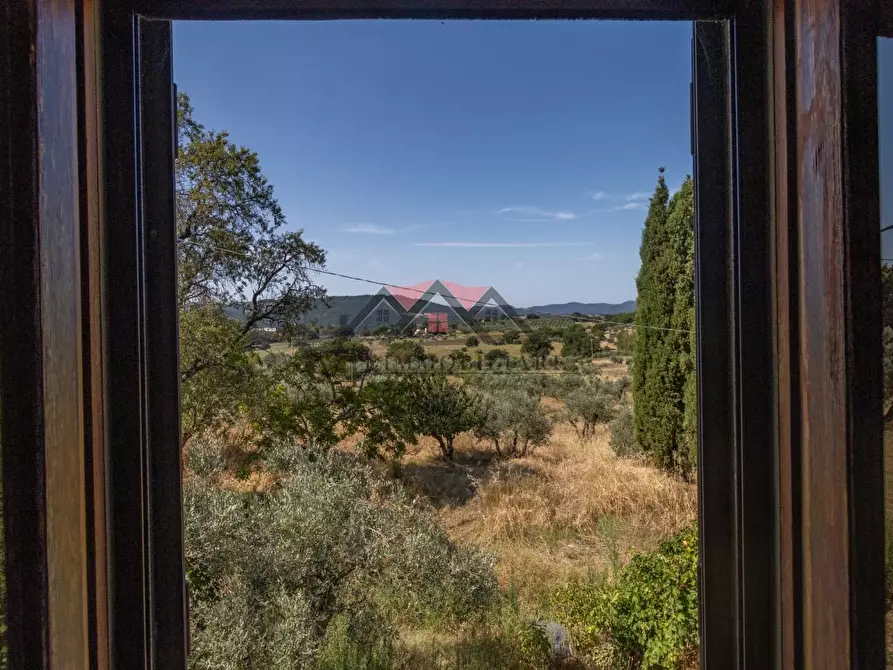 Immagine 25 di Casa colonica in vendita  a Pomarance