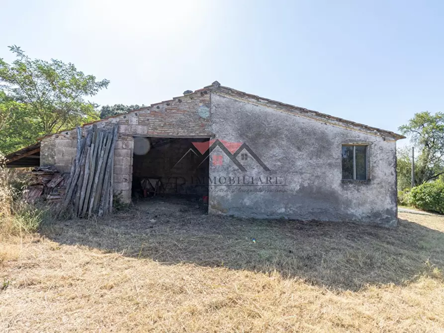 Immagine 21 di Casa colonica in vendita  a Pomarance