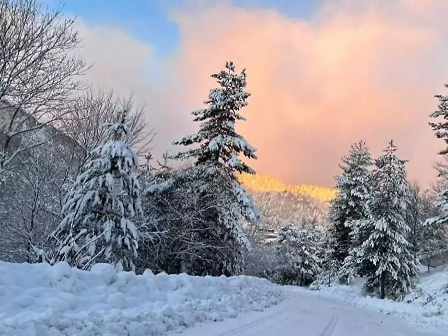 Immagine 30 di Appartamento in vendita  a Cotronei