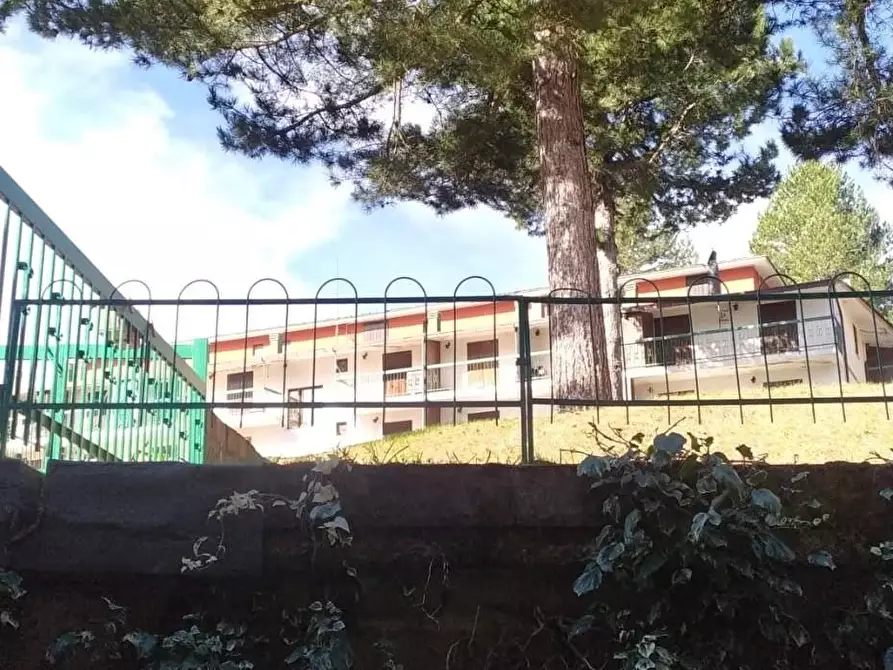 Immagine 3 di Appartamento in vendita  a Cotronei