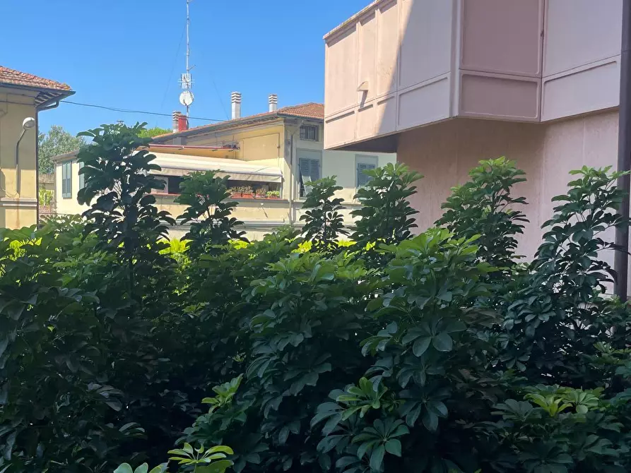 Immagine 2 di Appartamento in vendita  a Pisa