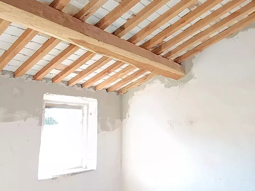 Immagine 19 di Terratetto in vendita  a Cascina