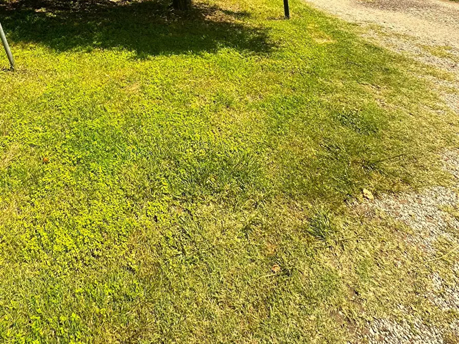 Immagine 2 di Appartamento in vendita  a Montelupo Fiorentino