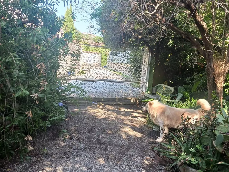 Immagine 10 di Villa in vendita  a Carrara