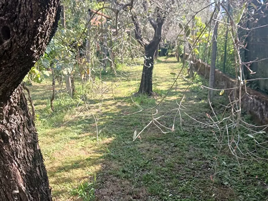 Immagine 20 di Villa in vendita  a Carrara