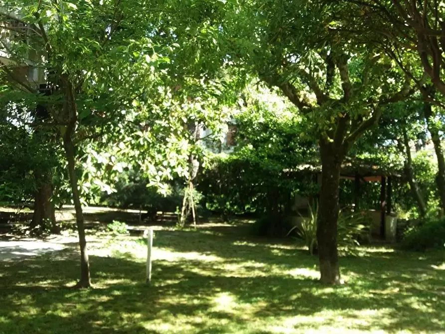 Immagine 14 di Appartamento in vendita  a Massa