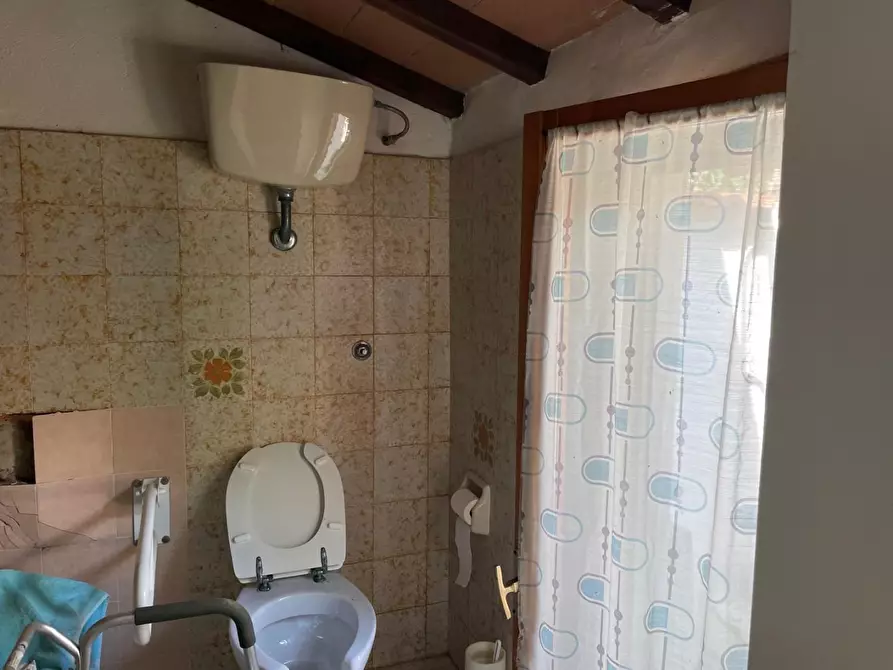 Immagine 6 di Casa indipendente in vendita  a Vecchiano