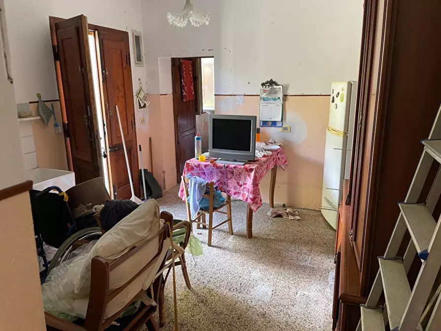 Immagine 3 di Casa indipendente in vendita  a Vecchiano