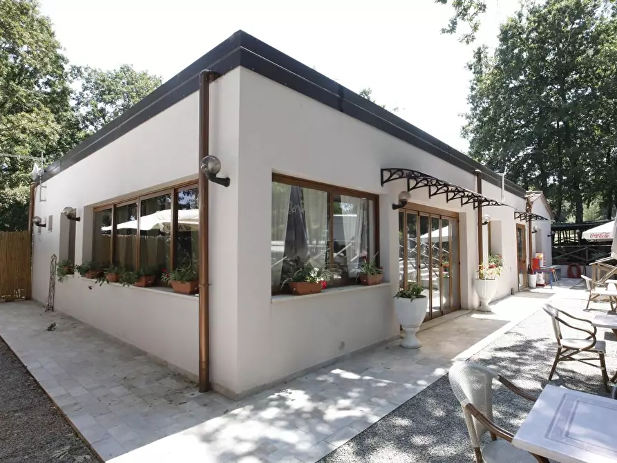 Immagine 14 di Attività commerciale in vendita  a Crespina Lorenzana