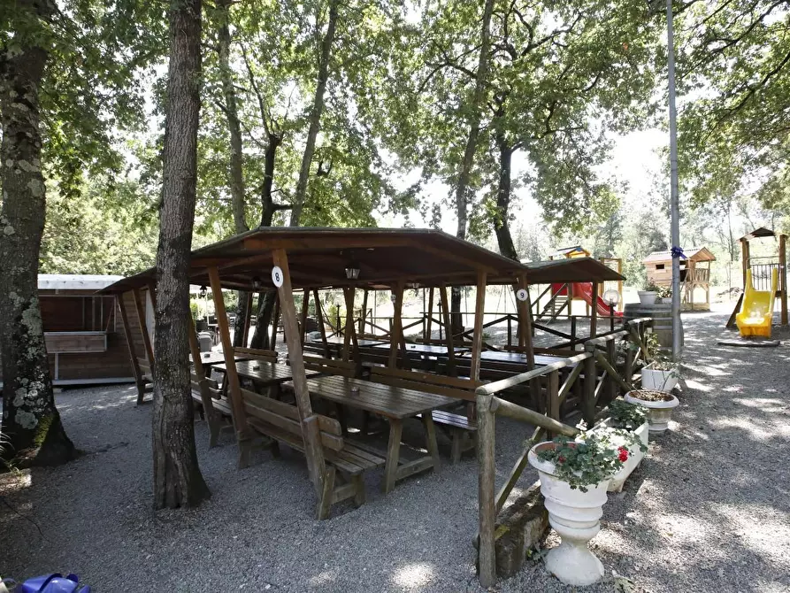 Immagine 12 di Attività commerciale in vendita  a Crespina Lorenzana