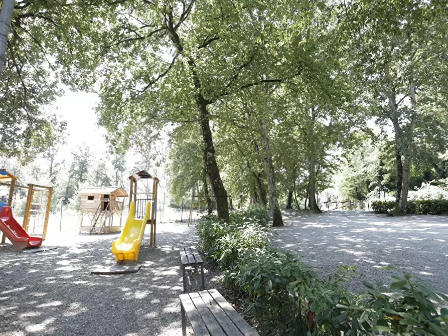 Immagine 4 di Attività commerciale in vendita  a Crespina Lorenzana