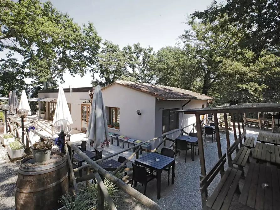 Immagine 8 di Attività commerciale in vendita  a Crespina Lorenzana