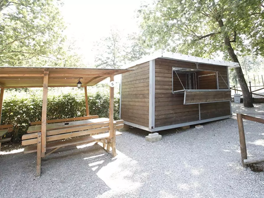 Immagine 10 di Attività commerciale in vendita  a Crespina Lorenzana