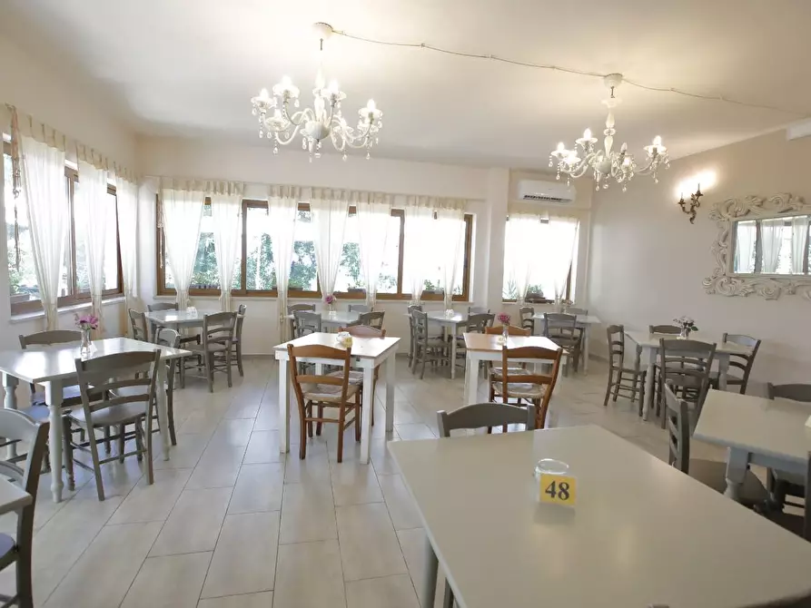 Immagine 27 di Attività commerciale in vendita  a Crespina Lorenzana