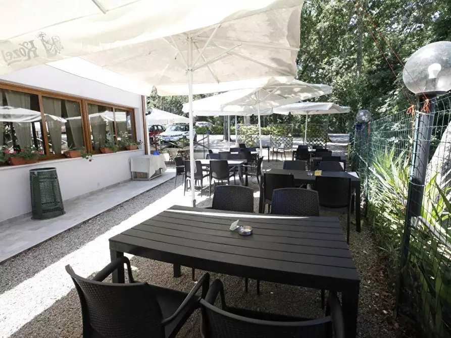 Immagine 15 di Attività commerciale in vendita  a Crespina Lorenzana