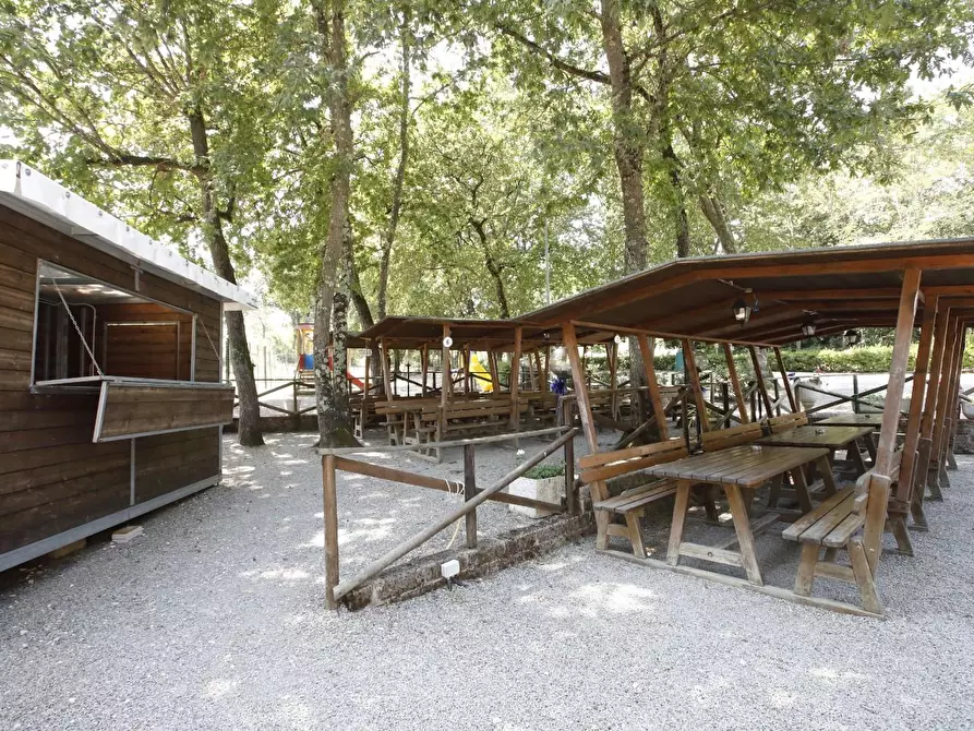 Immagine 9 di Attività commerciale in vendita  a Crespina Lorenzana