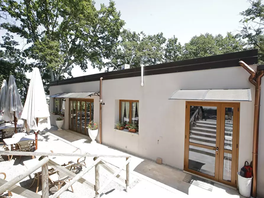 Immagine 13 di Attività commerciale in vendita  a Crespina Lorenzana