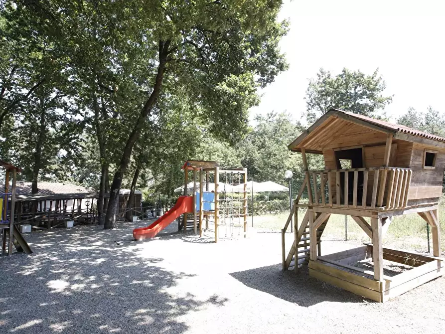 Immagine 5 di Attività commerciale in vendita  a Crespina Lorenzana