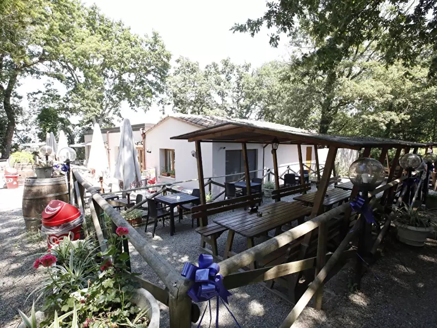 Immagine 7 di Attività commerciale in vendita  a Crespina Lorenzana