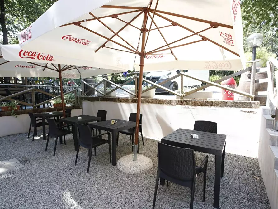 Immagine 19 di Attività commerciale in vendita  a Crespina Lorenzana