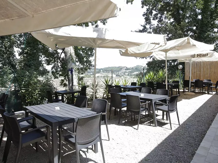 Immagine 20 di Attività commerciale in vendita  a Crespina Lorenzana