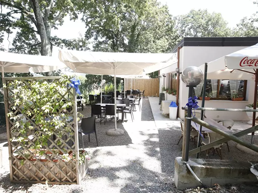 Immagine 17 di Attività commerciale in vendita  a Crespina Lorenzana