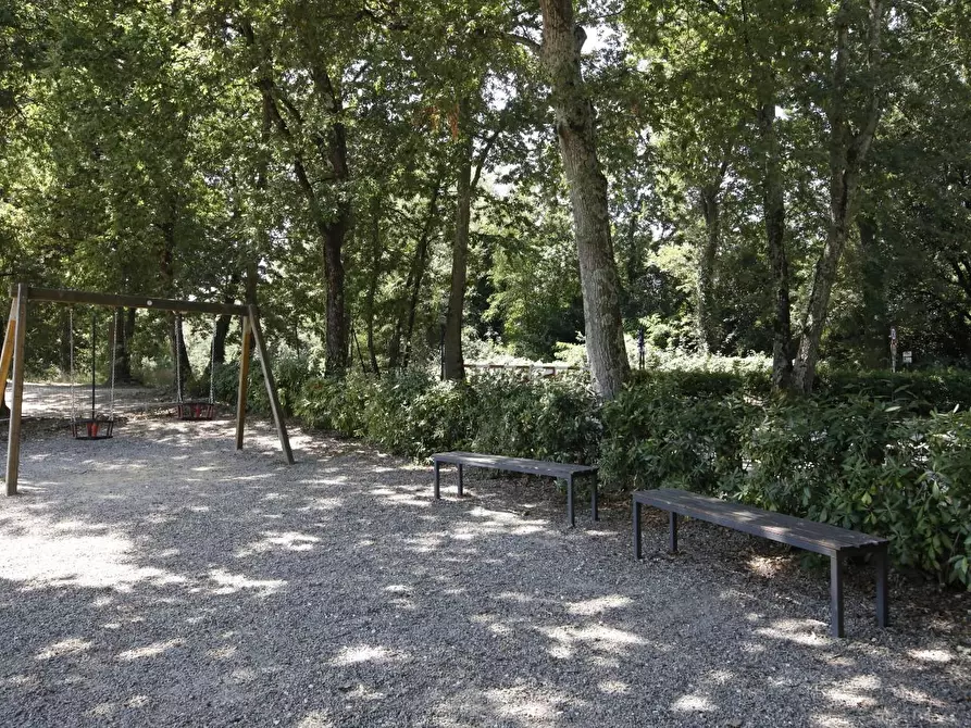 Immagine 3 di Attività commerciale in vendita  a Crespina Lorenzana