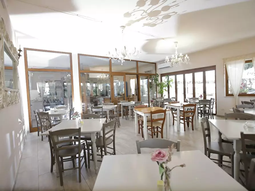 Immagine 24 di Attività commerciale in vendita  a Crespina Lorenzana