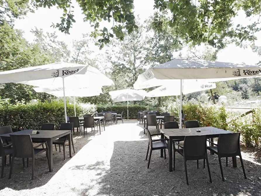 Immagine 11 di Attività commerciale in vendita  a Crespina Lorenzana