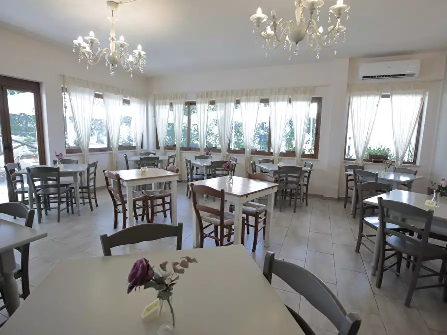 Immagine 22 di Attività commerciale in vendita  a Crespina Lorenzana