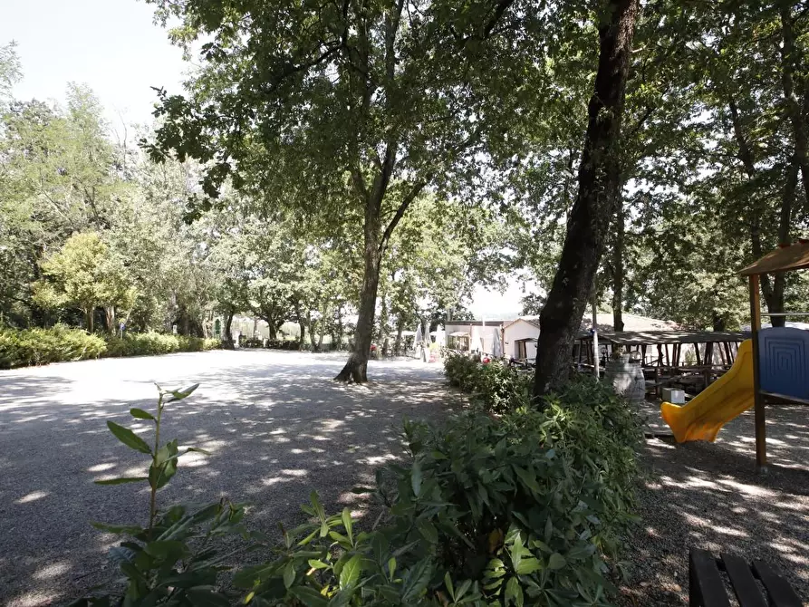 Immagine 2 di Attività commerciale in vendita  a Crespina Lorenzana