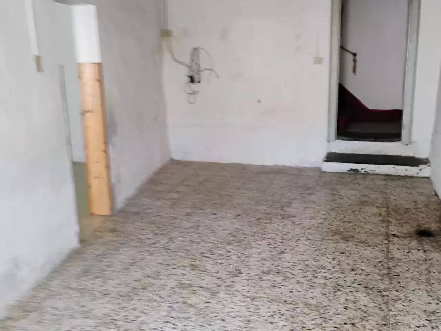 Immagine 3 di Appartamento in vendita  a Fauglia