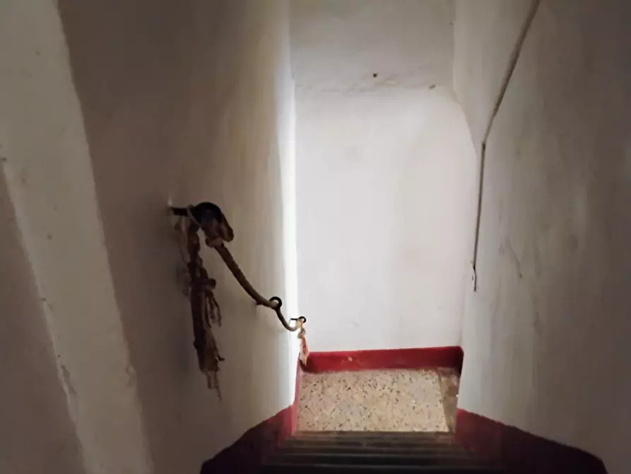 Immagine 4 di Appartamento in vendita  a Fauglia