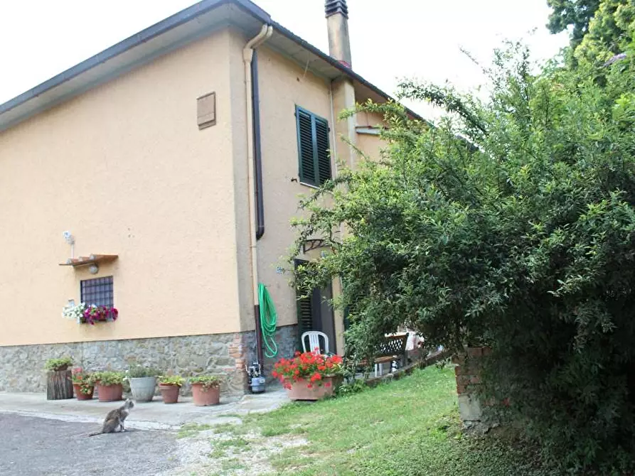 Immagine 4 di Casa colonica in vendita  a Lamporecchio